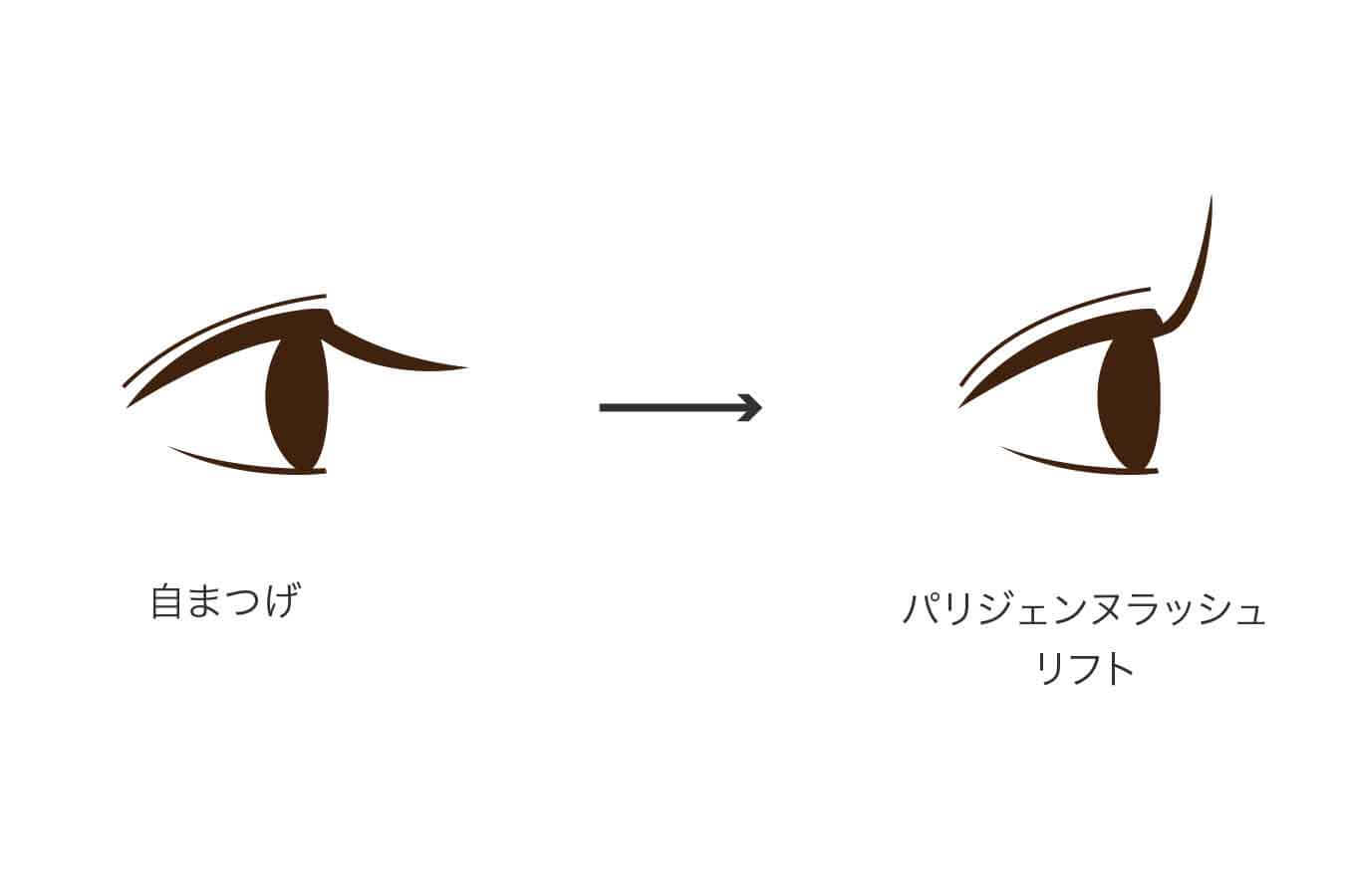パリジェンヌラッシュリフト